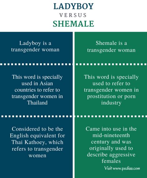 tranny vs shemale|Transgender vs Transsexual: the Differences and Comparison